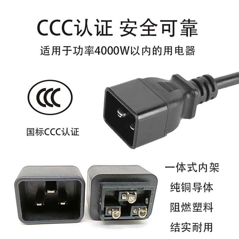 C19轉C20互聯電線組件